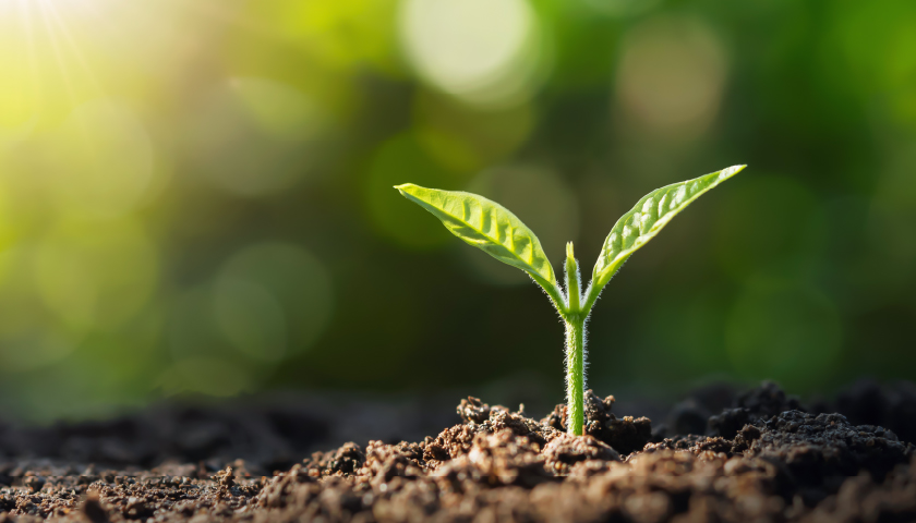 環境に対する取り組みの新しい形「FSC®認証」