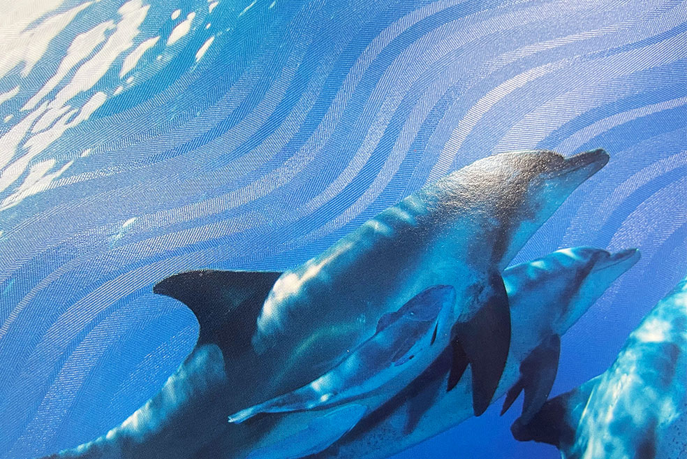 オーロラエンボス®︎